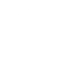 Shubbak Festival